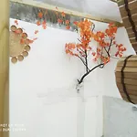 Aurisa Bari