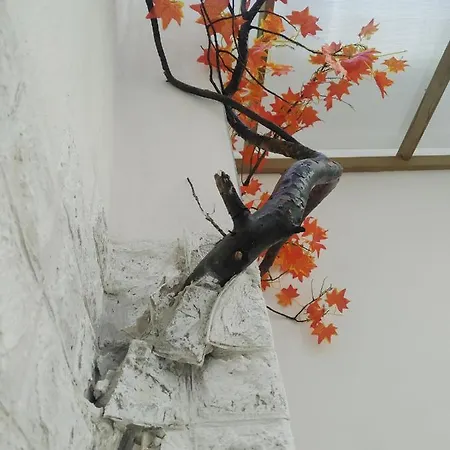 Aurisa * Bari